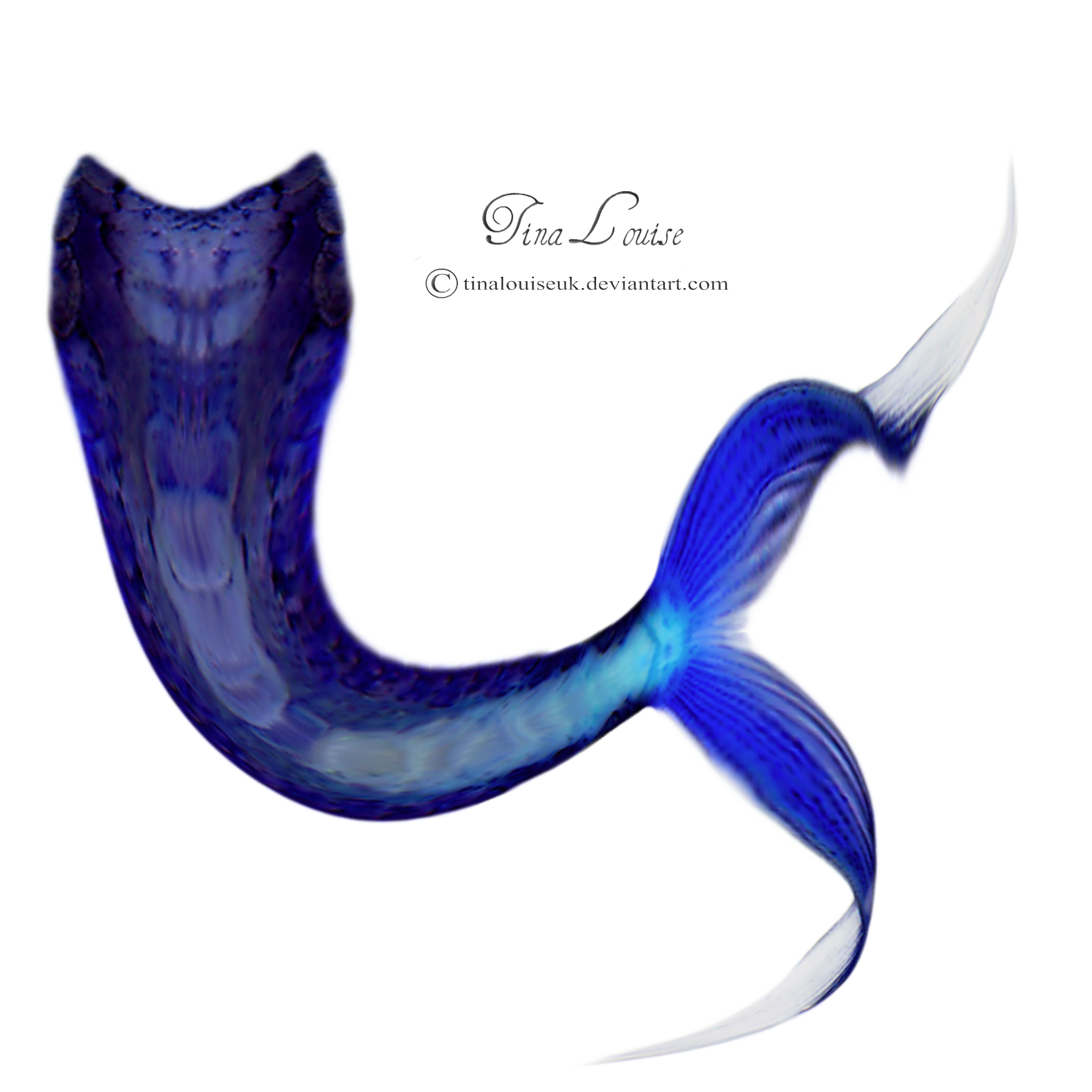 20+ Inspiration Cartoon Mermaid Tail Drawing | Creative Things Thursday