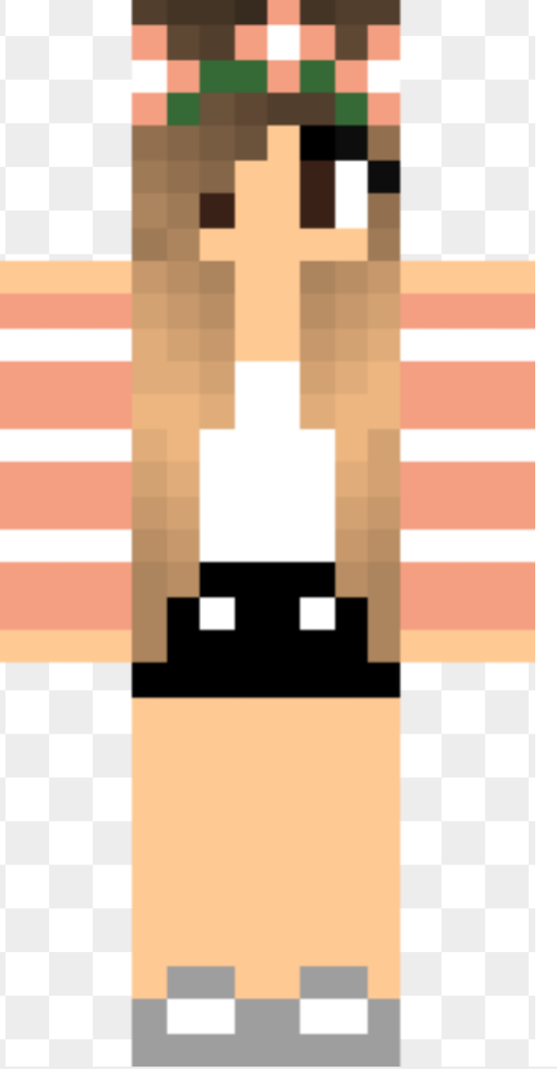 Minecraft Skins Girl 64x32 Pixels