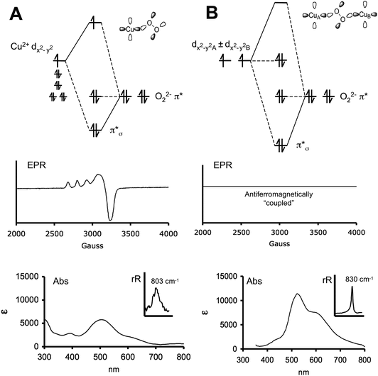 Atomic Orbital Diagram For Arsenic - Diagram Media