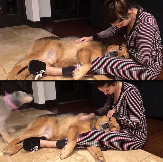 Dog Sunny Leone Xxx - Bollywood Gapsap