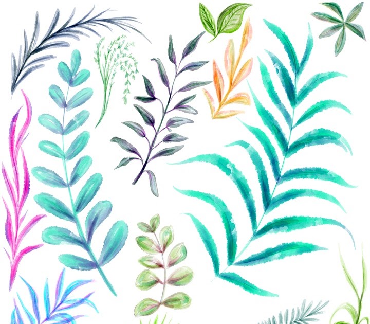 Gambar Daun Lukisan Tips dan Trik Pertanian