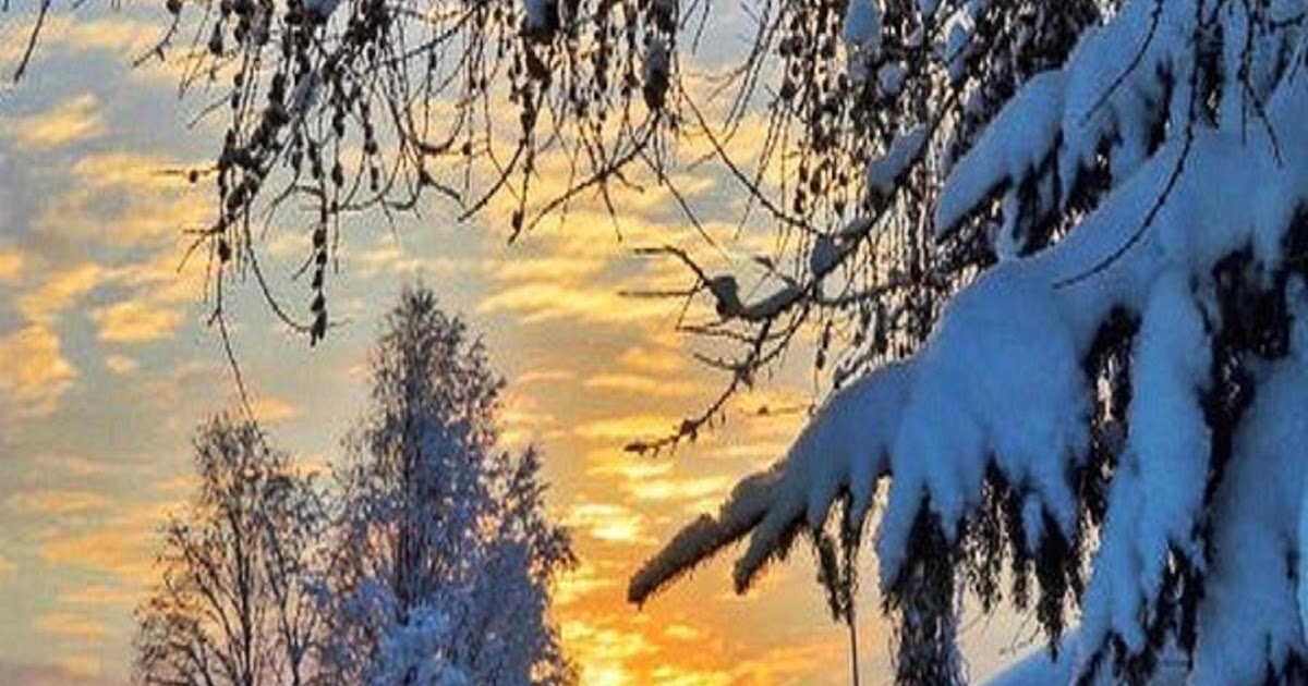 Winterbilder Tiere Als Hintergrundbild : Winterbilder Tiere Als