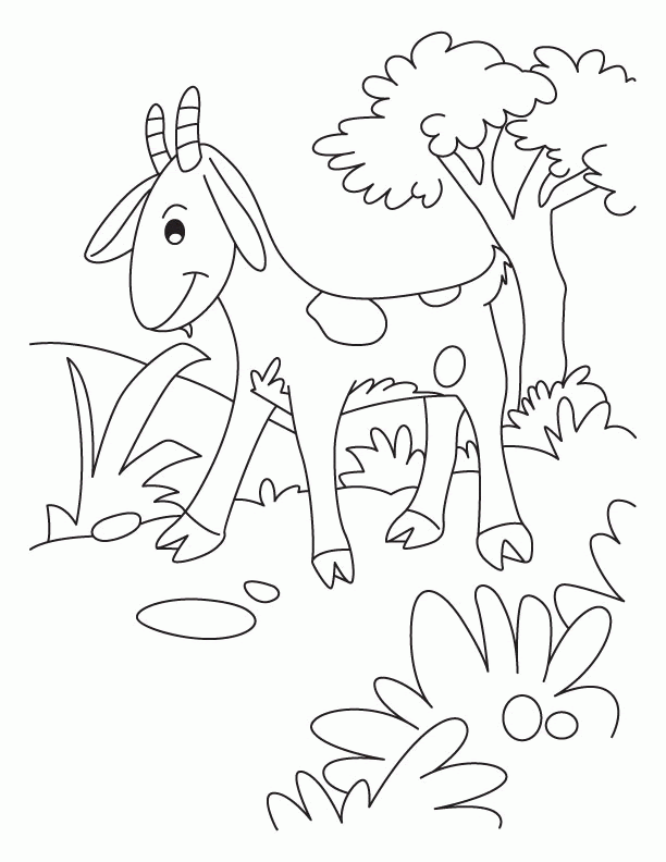 Cute Goat Coloring Page - 232+ SVG File Cut Cricut