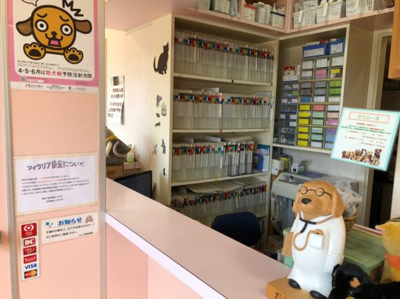 動物画像無料 ベスト50 りんご 動物 病院