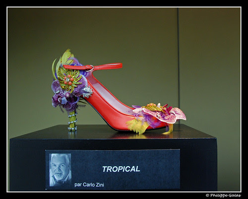 DSC_0758_bis