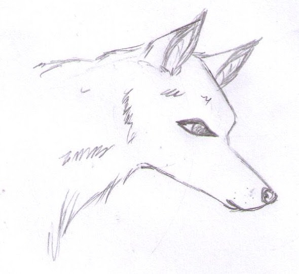 Susan Tattoo: Anime Wolves Running