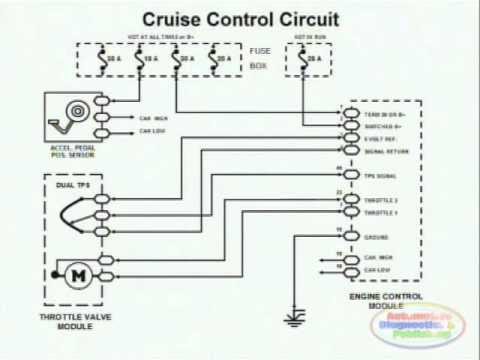 Cruise Control Wiring Diagram 1988 Lincoln Mark Vii | schematic and