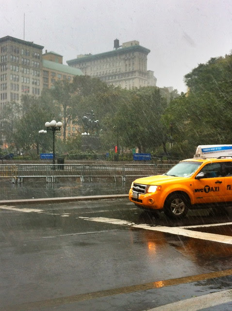 Storm Scene: the Nor'easter in Manhattan