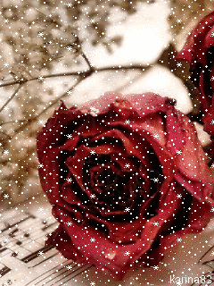 Снежная роза