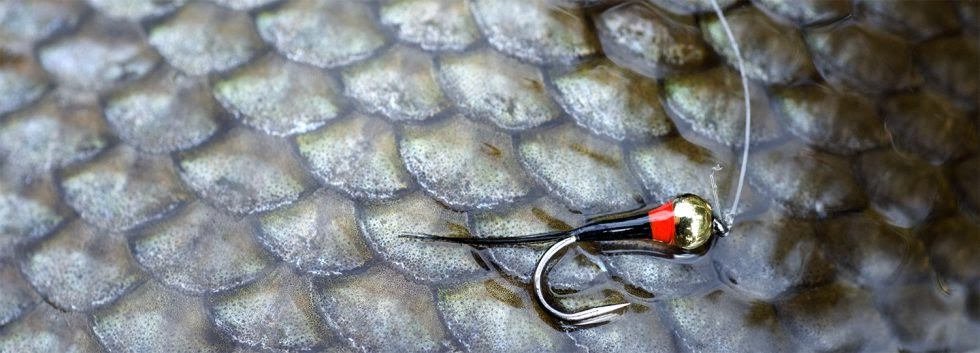 4 each Extra Heavy Green Hornet Perdigons in size #14 Great Euro Nymph.