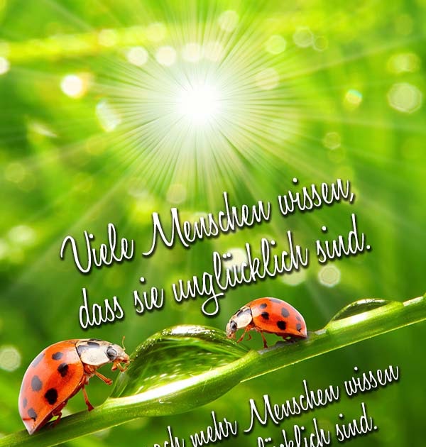 Sprüche Über Glück Liebe ohne Vertrauen ist wie ein Fluss ohne Wasser