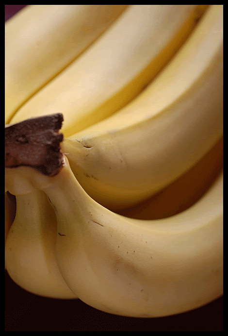 bananas© by Haalo