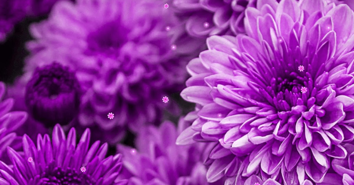 Fantastis 30+ Wallpaper Keren Warna Ungu Joen Wallpaper