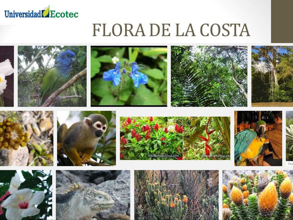 Biodiversidad e Historia del Ecuador