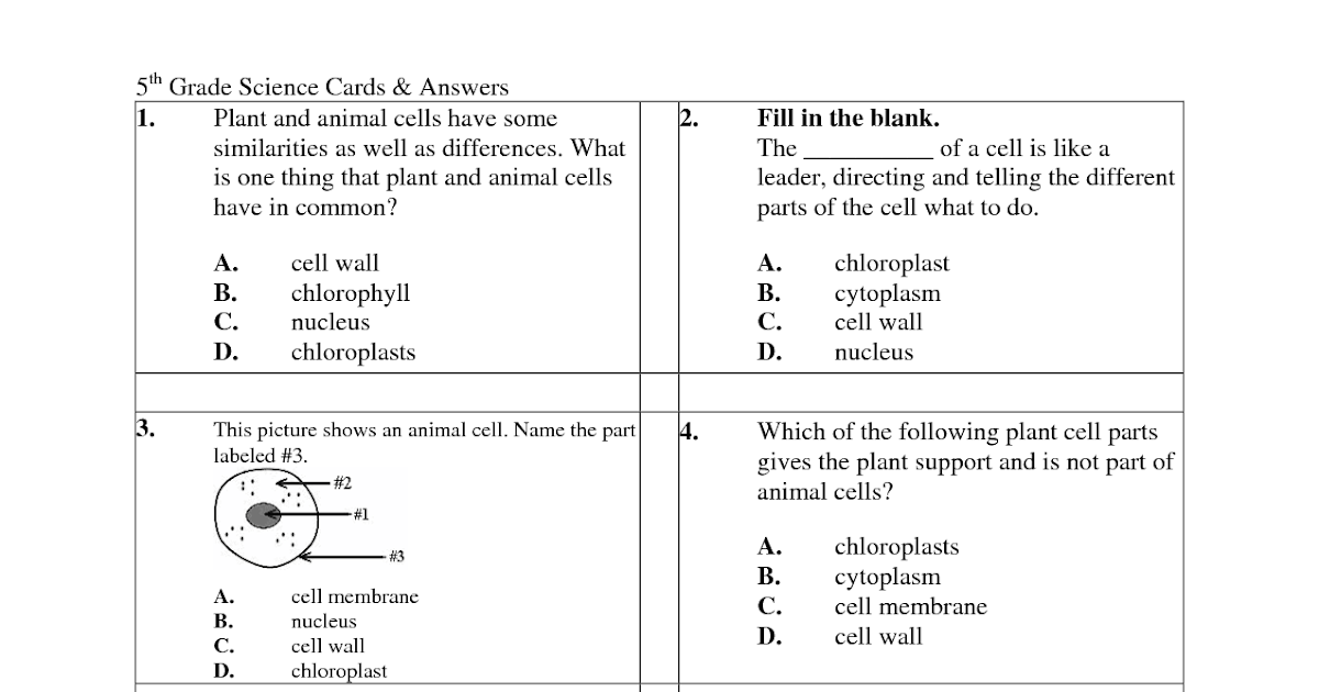 Cells And Their Organelles Worksheet Pdf - worksheet