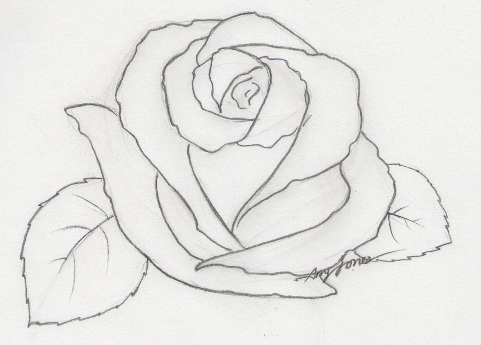 Aesthetic Rose Simple Flower Drawing - Largest Wallpaper Portal