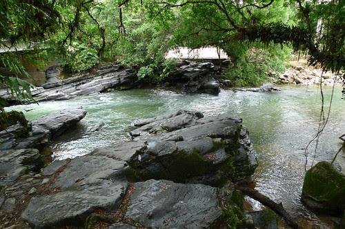 P1040450