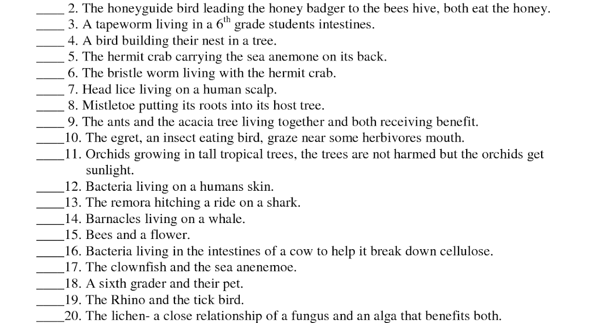 Types Of Symbiosis Worksheet Answer Key