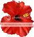1 Small Red Hibiscus