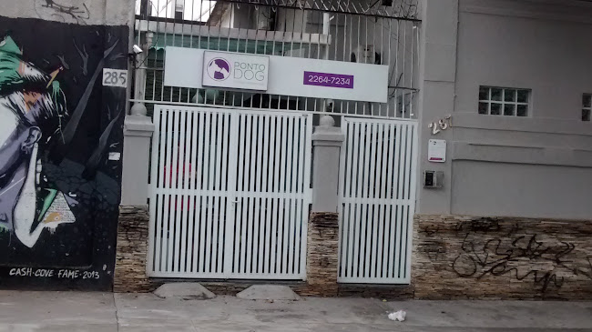 Avaliações sobre Ponto Dog Clínica Veterinária em Rio de Janeiro - Veterinário