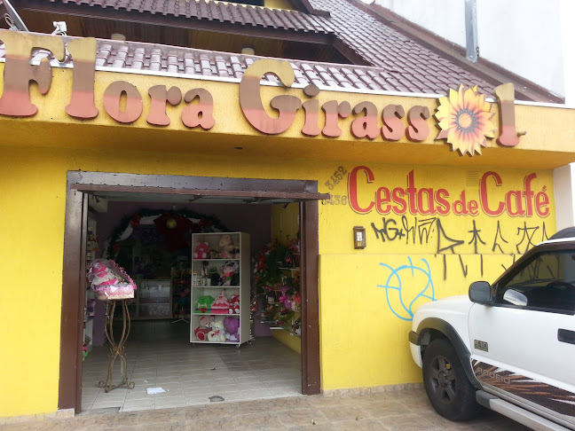 Flora Girassol