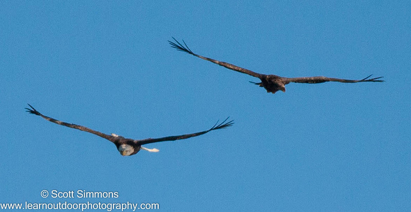 Photo & Video Sharing by SmugMug Photo & Video Sharing by SmugMug