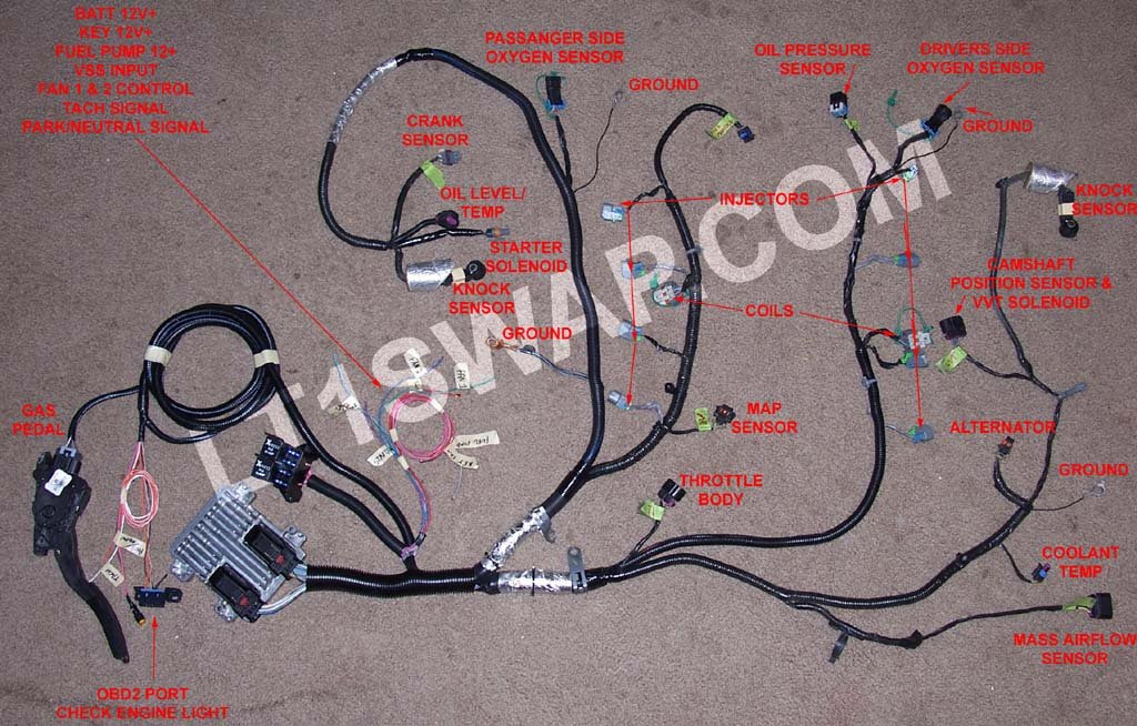 Lt1 Engine Swap Wiring Harness : Lt1 Stand Alone Wiring Harness Diagram