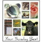 Your Sunday Best