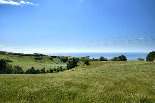 20090614-vs-0500
