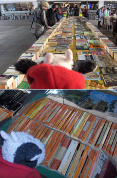 The best Penguins are orange, not black and white!. Book fair