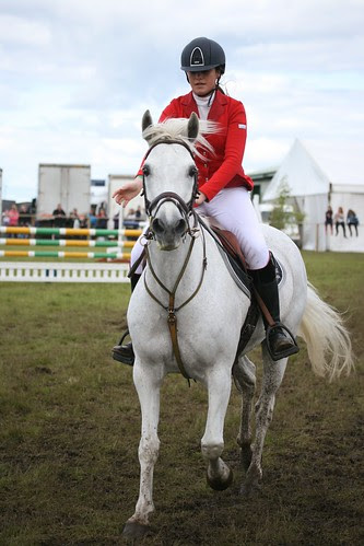 Showjumping