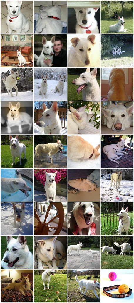 Biko's many faces