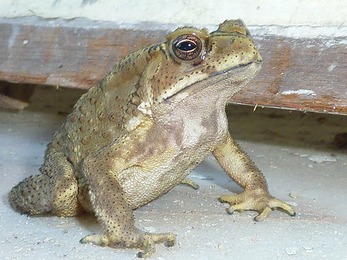 P1120609