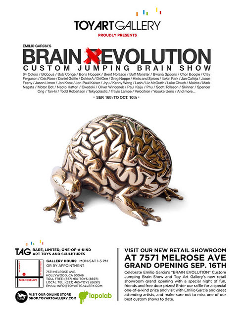 BRAIN EVOLUTION SHOW