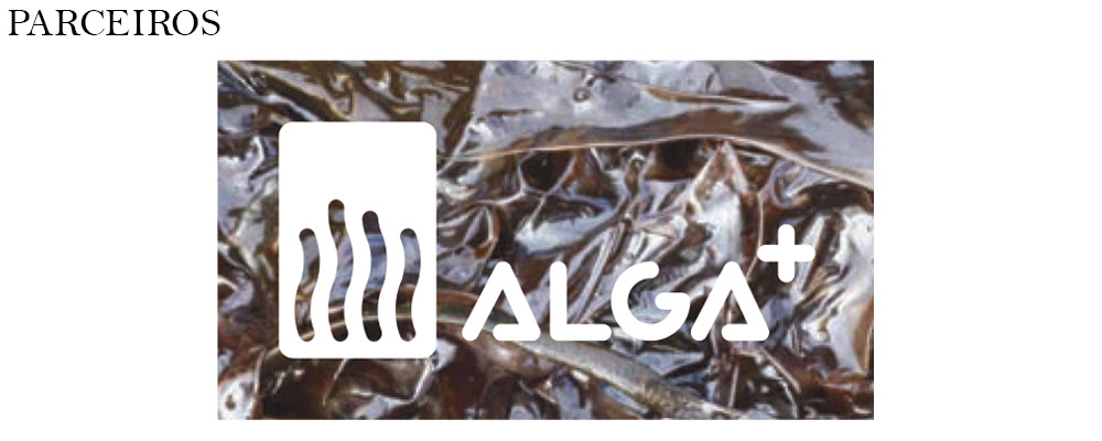 Beautiful Disaster by Jamie McGuire