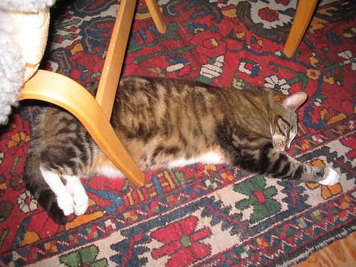 MORRIS