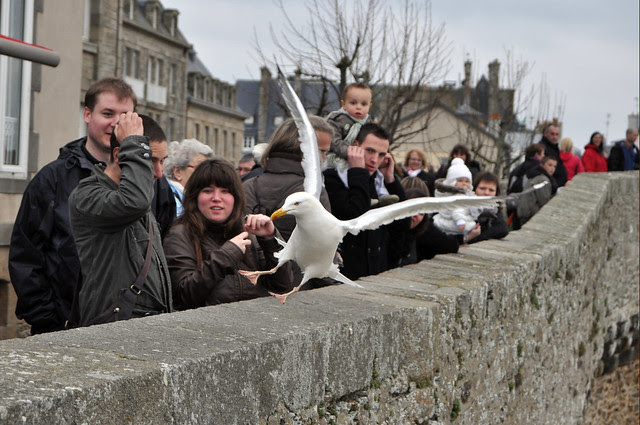 Normandie 285p