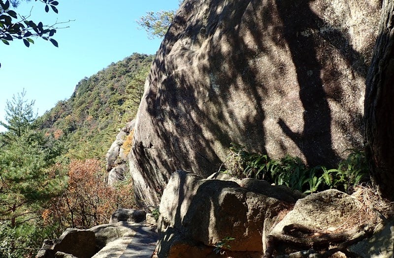 トレラン 広島 窓が山 Jhuj
