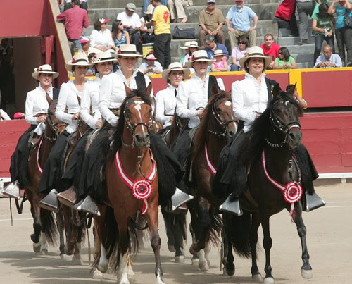 Amazonas sobre caballos peruanos de paso