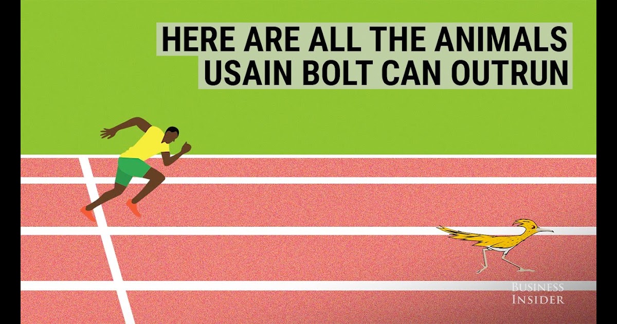 Usain Bolt Speed Mph ~ news word