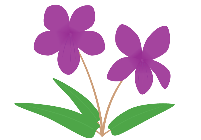 ほとんどのダウンロード すみれ 花 イラスト かわいいフリー素材集 いらすとや