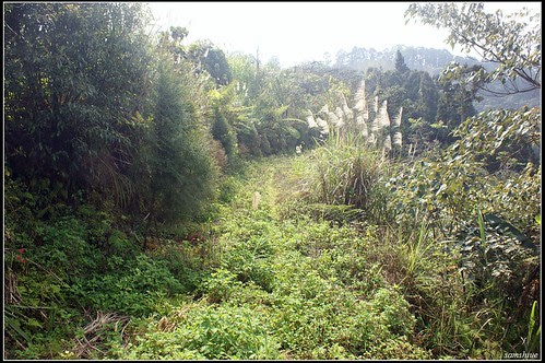 DSC04107