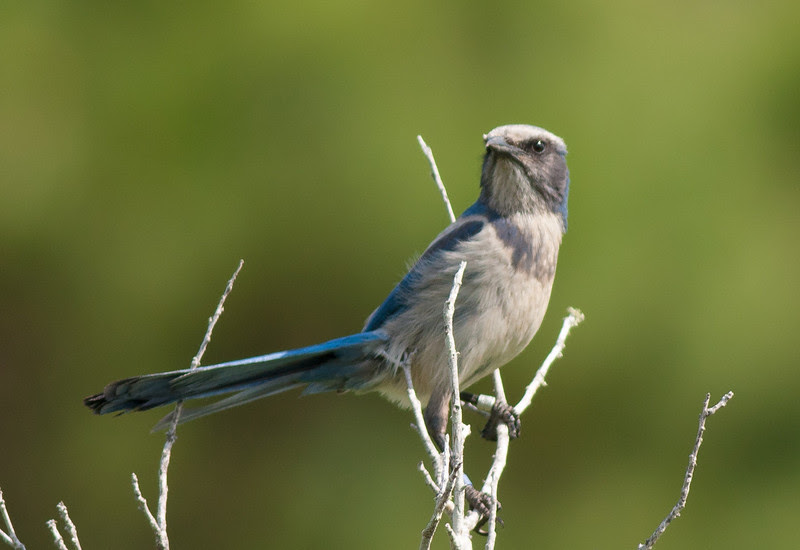 Photo & Video Sharing by SmugMug Photo & Video Sharing by SmugMug