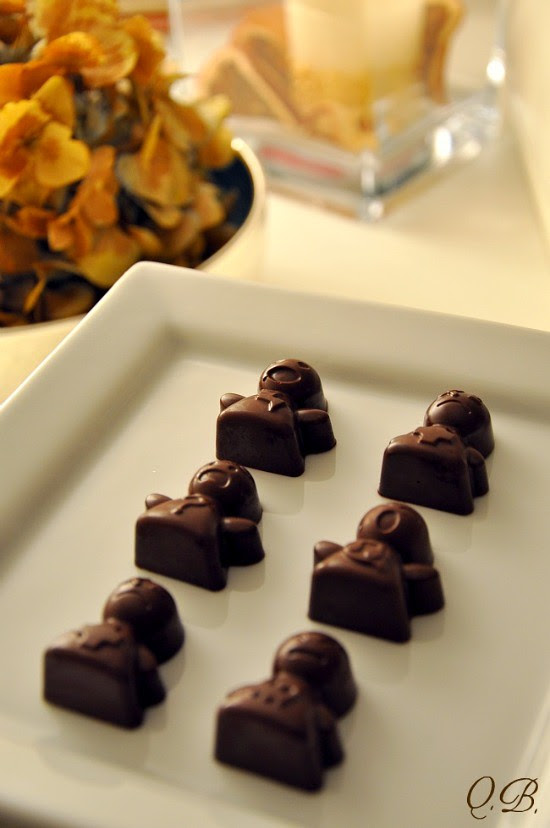 CIOCCOLATINI 1