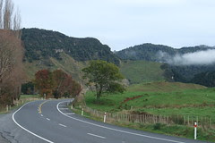 NZ 032