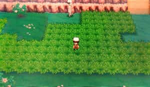 0以上 ポケモン アルファ サファイア 色 違い 入手 方法 100 で最高の画像