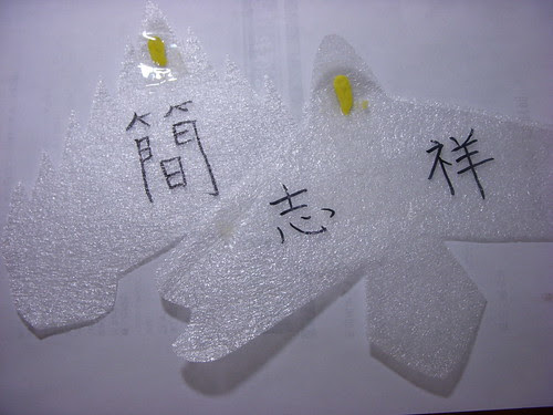 DSCN8524
