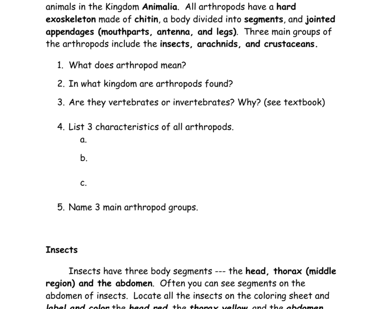 Arthropod Coloring Worksheet Answer Key - Coloring Walls