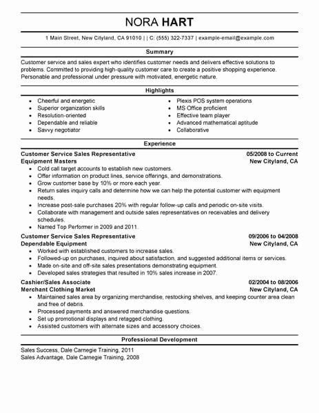 Mergers And Inquisitions Resume Template