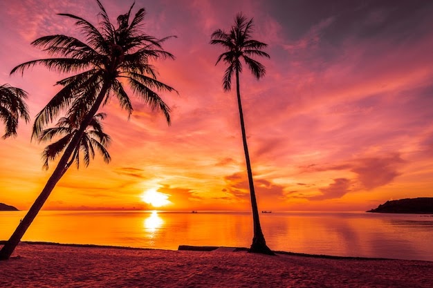 31+ Lukisan Pemandangan Sunset Di Pantai - Romi Gambar